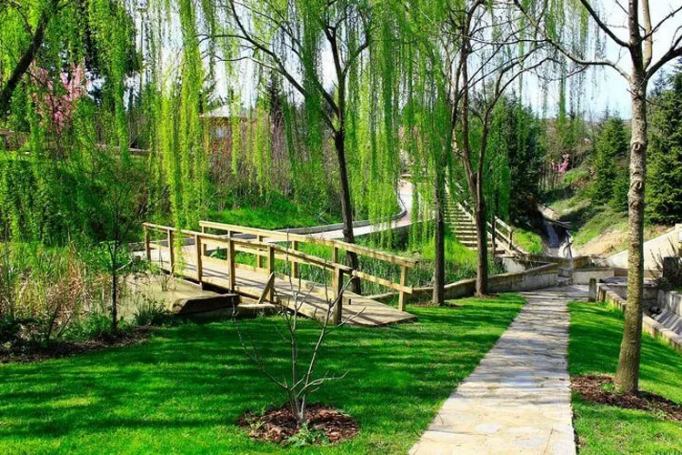 Ataşehir Bölgesel Zayıflama